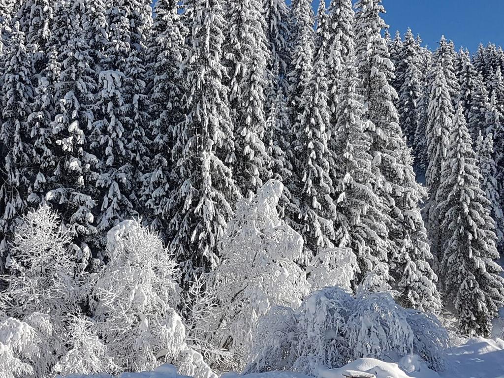 Pension Haus Rohrmoser Lungötz Exteriör bild